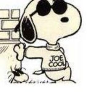 Meet your Posher, Joe